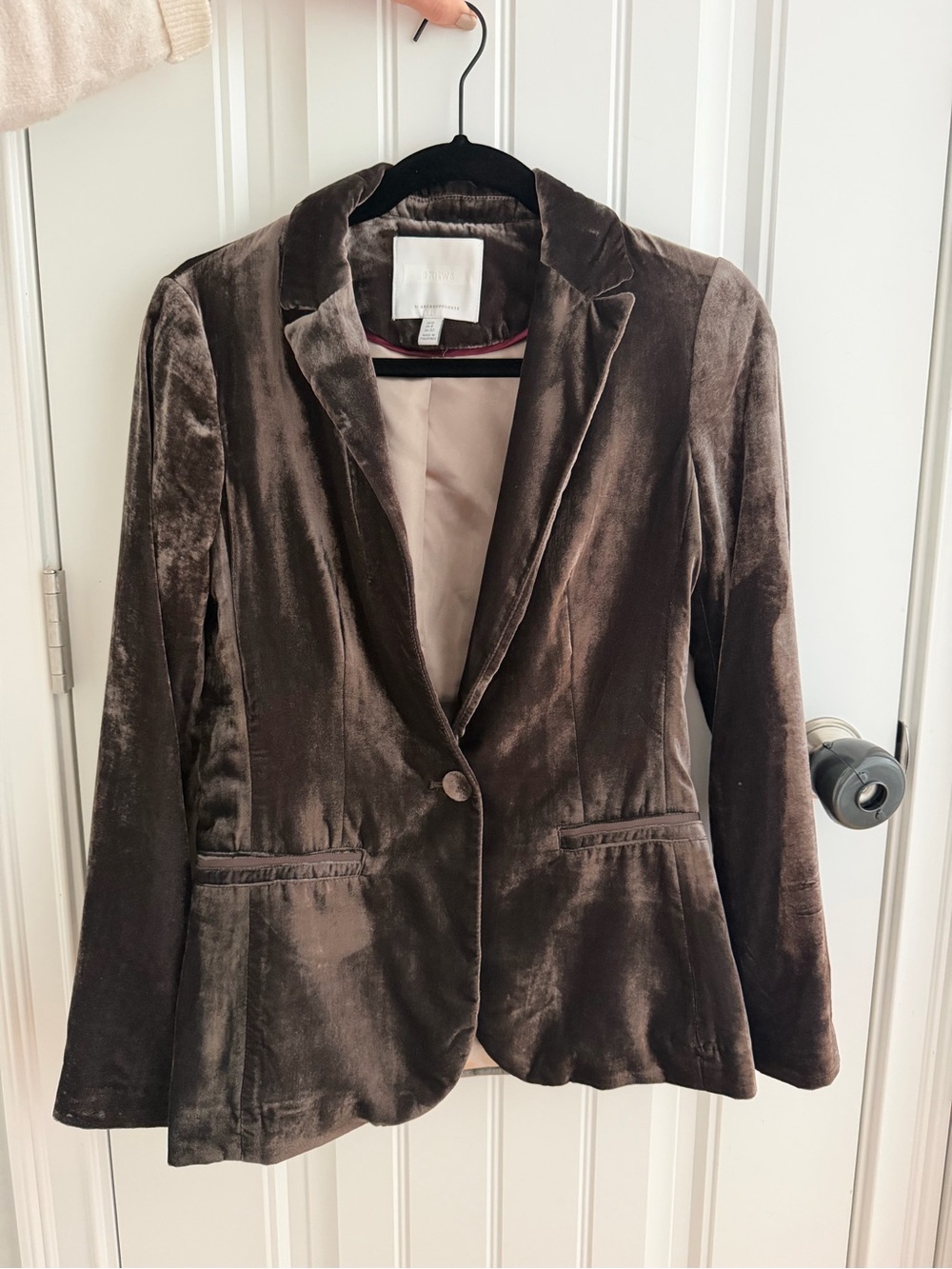 Anthropologie Brown Velvet Single-Button Blazer